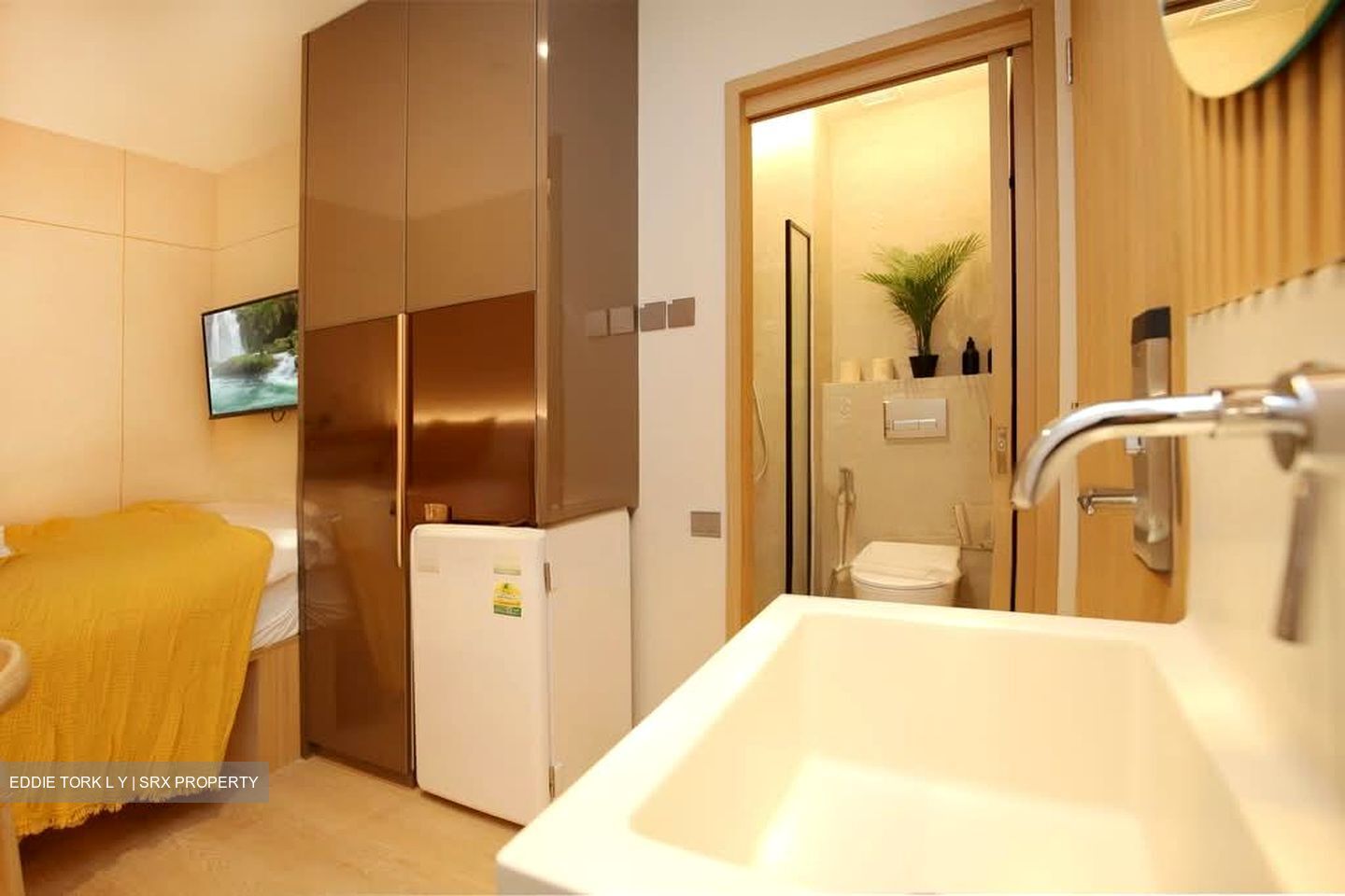 Mount Elizabeth Link (D9), Apartment #549515131